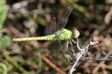 23rd 24th July 2015 059.JPG