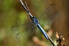 23rd 24th July 2015 084.JPG