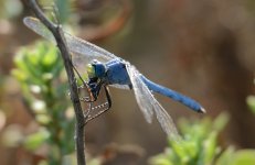 23rd 24th July 2015 096.JPG