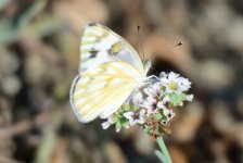 23rd 24th July 2015 069.JPG