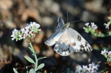 23rd 24th July 2015 073.JPG