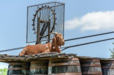 Pigeon Forge ,TN-.jpg