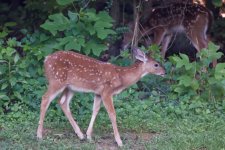 DSC_3574_DxO.jpg