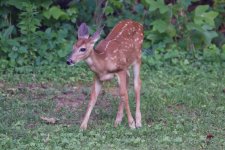 DSC_3597_DxO.jpg