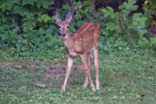 DSC_3603_DxO.jpg