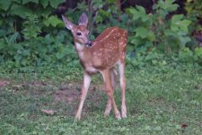DSC_3605_DxO.jpg