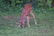 DSC_3611_DxO.jpg