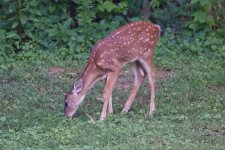 DSC_3619_DxO.jpg