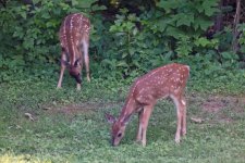 DSC_3630_DxO.jpg