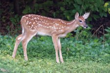 DSC_3641_DxO.jpg