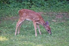 DSC_3644_DxO.jpg