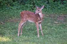 DSC_3649_DxO.jpg