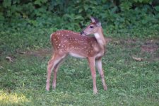 DSC_3654_DxO.jpg