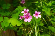 DSC_0098_DxO.jpg