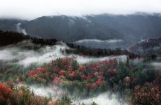 Cherohala Skyway--4.jpg