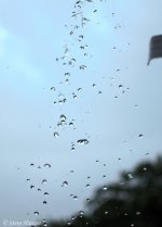 _DSC1830.jpg