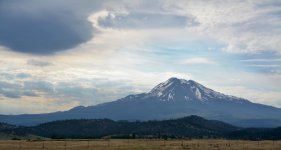 DSC_8232.JPG