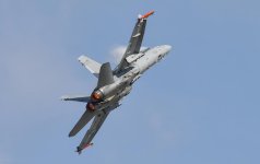 horn4.jpg