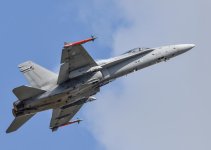 horn5.jpg