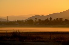 25th July 2015 002.JPG