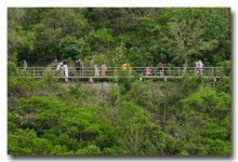 bridge-ype.jpg