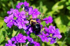 DSC_3732_DxO.jpg