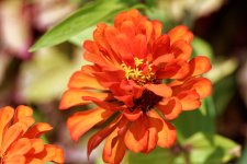 DSC_3762_DxO.jpg