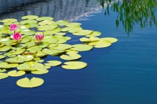 DSC_3773_DxO.jpg
