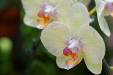 DSC_3814_DxO.jpg