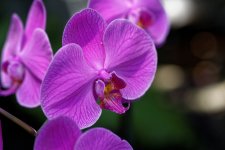 DSC_3820_DxO.jpg