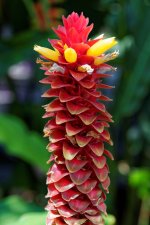 DSC_3925_DxO.jpg