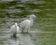 DSC_0189.jpg