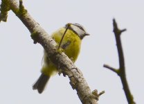 DSC_0117.jpg