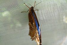 DSC_3891_DxO.jpg