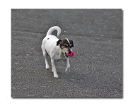 DSC_0589.jpg