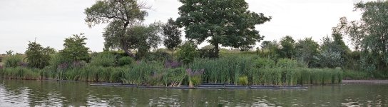 Untitled_Panorama1.jpg