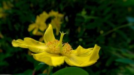 DSC_0735.jpg