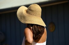 25th July 2015 080.JPG