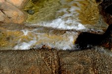 25th July 2015 119.JPG