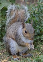 DSC_0015.jpg