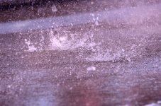 25th July 2015 129.JPG