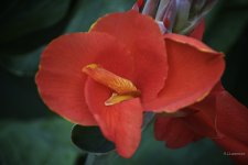 _AAA5879 - Version 2.jpg