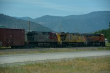 DSC_7974.JPG