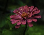 _DSC0966-Edit-Edit-Edit-Edit.jpg
