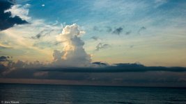 IMG_0035.jpg