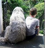 2 buddies.jpg