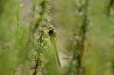 27th July 2015 035.JPG