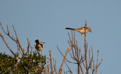 27th July 2015 040.JPG