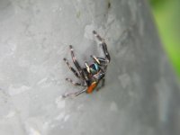 2011-07-13_00056.jpg