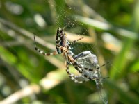 2011-08-10_00008.jpg
